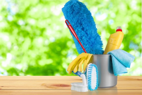 Professional sofa cleaning service in a Swisscottage living room