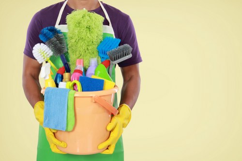 Deep cleaning service for homes in Swisscottage