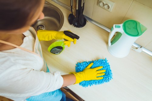 Waste disposal and property care during a cleaning visit