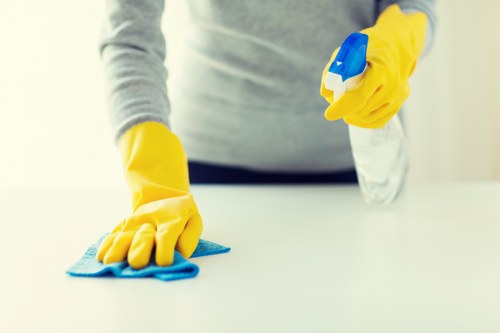 Local window cleaning for homes and businesses in Swiss Cottage