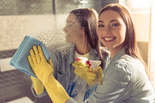 Professional exterior and internal glass cleaning in Swiss Cottage
