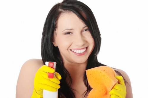 Regular domestic cleaning for a busy Swiss Cottage household